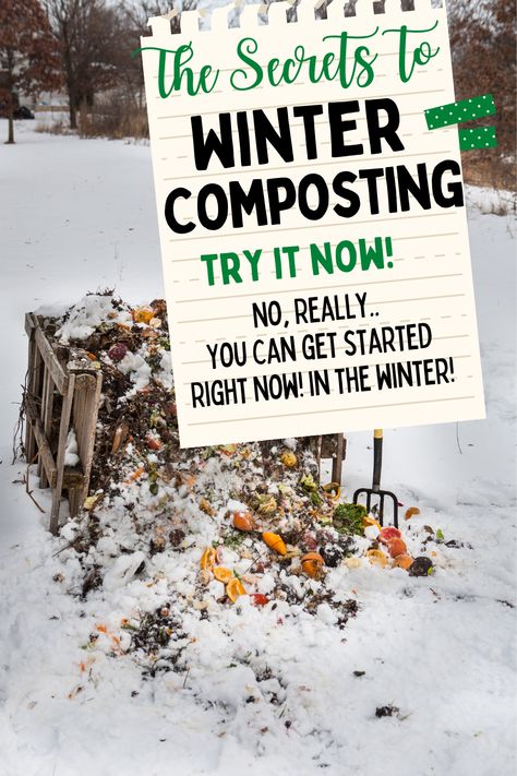 Winter Composting, Homemade Compost Bin, Composting Tips, Best Compost Bin, How To Start Composting, Biodynamic Gardening, Making A Compost Bin, Compost Mulch, Composting 101