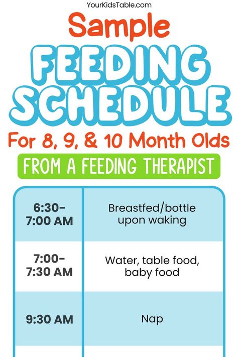 A complete feeding schedule for 8, 9, and 10 month old babies. Plus tips for transitioning to finger foods for an eating schedule with formula or breastmilk. Baby Solid Food Schedule, 8 Month Old Schedule, 9 Month Old Schedule, Baby Eating Schedule, 10 Months Baby Food, 10 Month Old Baby Food, 9 Month Old Baby Food, 8 Month Old Baby Food, Food Schedule