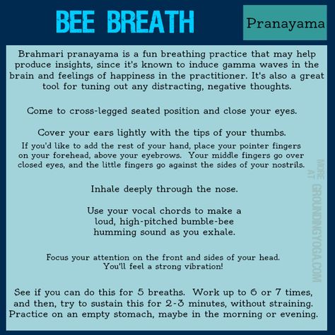 Pranayama: "Bee Breath" Bee Breathing, Relaxation Activities, Grounding Yoga, Yoga Breathing Techniques, Pranayama Techniques, Pranayama Breathing, Pranayama Yoga, Yoga Breathing, Breathing Meditation