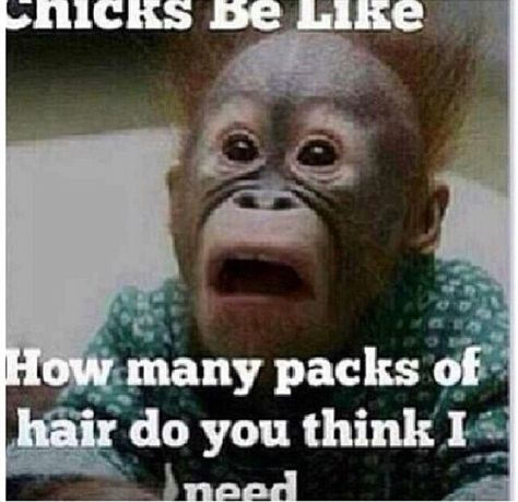 Hair jokes! Funny Wednesday Memes, Funny Wednesday Quotes, Hump Day Quotes, Wednesday Memes, Wednesday Hump Day, Hump Day Humor, Wednesday Humor, Weekday Quotes, Wednesday Quotes