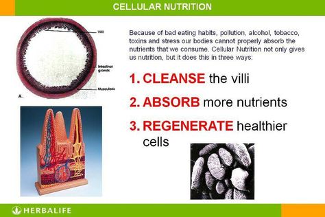 Herbalife is cellular nutrition not a diet, when your body gets everything it needs it will do amazing things. Cellular Nutrition, Herbalife Distributor, Lose 30 Pounds, Cellular Level, Herbalife Nutrition, Breakfast Smoothies, Unhealthy Food, Sports Nutrition, Healthy Alternatives