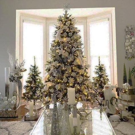 Multiple Holiday Tree Arrangements, Modern Christmas Decor Trends Multiple Christmas Trees, Classy Christmas Decor, Christmas Decor Trends, Christmas Tree Images, Christmas Lights Garland, Silver Christmas Decorations, Holiday Trees, Modern Christmas Decor, White Christmas Trees