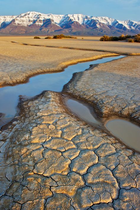 Steens Mountains . Oregon The Oregon Trail, Mountain Sunrise, Sunrise Art, Eastern Oregon, Oregon Trail, Oregon Travel, The Desert, Pacific Northwest, Bahamas