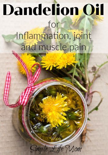 Tincture For Inflammation, Herbal Remedy For Inflammation, Herbs For Sore Muscles, Dandelion Oil Recipes, Herbal Remedies For Inflammation, Herbs For Joints, Dandelion Oil Benefits, Dandelion Tincture Benefits, Herbs For Pain And Inflammation