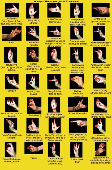 Mudras are basically of two types -      Asamyukta Hasta (or Asamyuta) (Single Hand Gestures) and Samyukta Hasta (or Samyuta) (Double Hand Gestures)   Asamyukta Hasta (read: Uh-sum-yook-tha Husstha) - It is done using a single hand. The Natyashastra mentions 28 Mudras. There are four new Mudras added to this list. These Hand Gestures are a Part of Angika Abhinaya. Bharatanatyam Dancer, Indian Classical Dancer, Bharatanatyam Poses, Dancing Poses, Kathak Dance, Dance India Dance, Dance Of India, Classic Dance, Hand Mudras