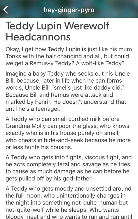 Teddy Lupin Headcanons, Remadora Headcanons, Harry Potter Teddy Lupin, Teddy Lupin Fan Art, Teddy Lupin Aesthetic, Teddy Lupin, Harry Potter Next Generation, Head Cannons, Hp Harry Potter