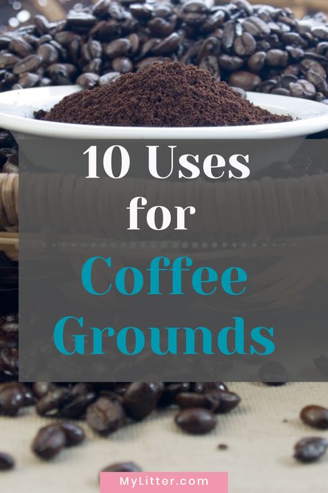 While making it at home is a great way to save on your daily java fix, these 20 uses for leftover coffee grounds will help you stretch that even further! Leftover Coffee Grounds, Leftover Coffee, Espresso Brownies, House Gardening, American Drinks, Acid Loving Plants, Homemade Frosting, Uses For Coffee Grounds, Amazing Crafts