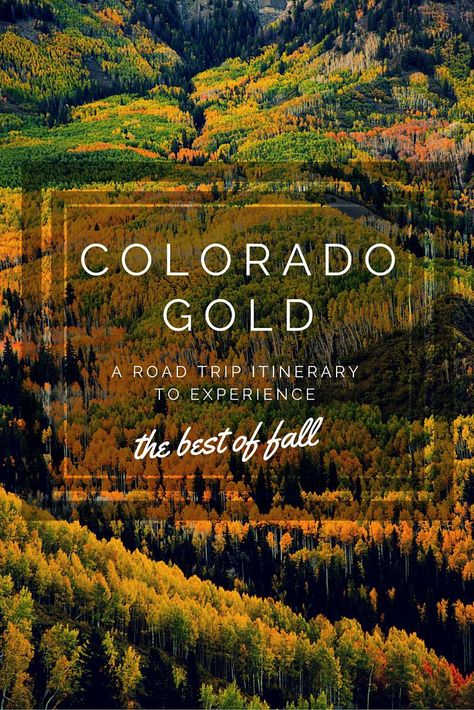 Fall Foliage Road Trips, Road Trip To Colorado, Colorado Fall, Explore Colorado, Fall Road Trip, Colorado Adventures, Leaf Peeping, Colorado Vacation, Colorado Hiking