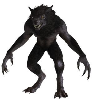 Skyrim Werewolf, Then There Were Four, Wild Hunter, Werewolf Books, Skyrim Dragon, Werewolf Costume, Rpg Ideas, Spirit Animal Art, Werewolf Art