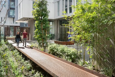 388 Fulton | GLS Courtyard Paving, Metal Bridge, Courtyard Design, Bicycle Parking, Bbq Area, Rain Garden, The Courtyard, Urban Lifestyle, Roof Deck