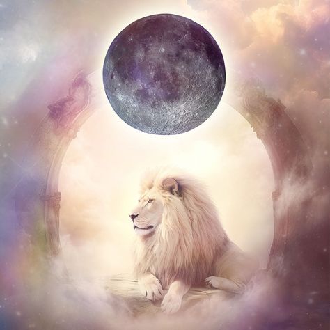 The astrology of the New Moon in Leo 2023 with horoscopes New Moon In Leo 2024, Leo Full Moon, Leo New Moon, Full Moon In Leo, New Moon In Leo, Leo Moon, Leo Astrology, Moon In Leo, Moon Rituals