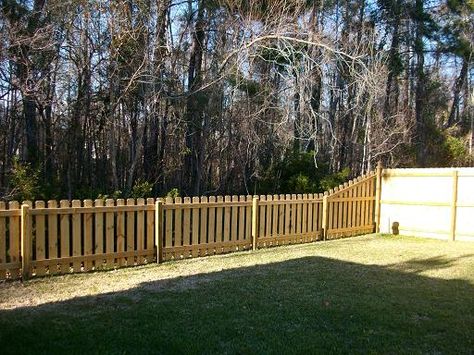 This classic dog-ear picket fence is located in Charleston, SC. The sides of the backyard is solid board dog-ear privacy fencing. Privacy Fencing, Dog Ear, Picket Fence, Charleston Sc, Fencing, Charleston, Fence, Advent, Yard