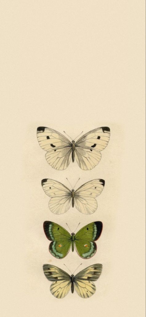 butterfly green beige wallpaper goblincore cottagecore lock screen Pale Yellow Background Aesthetic, Butterfly Core Aesthetic Wallpaper, Earthcore Wallpaper, Green Wallpaper Cottagecore, Green And Beige Aesthetic Wallpaper, Earthy Home Screen, Goblincore Wallpaper Iphone, Cottage Core Phone Wallpaper, Butterfly Background Wallpapers