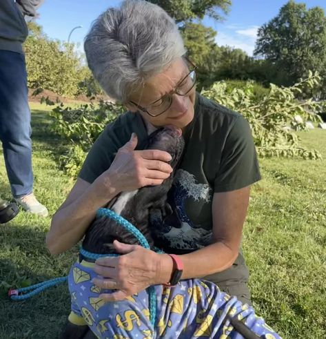 Puppy Find, Flip Flop Wreaths, Rescue Puppies, Sick Dog, Cute Animals Puppies, Foster Home, Animal Stories, Skin Healing, Graveyard