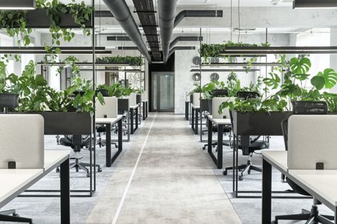 » Callstack Offices by we.make Open Office Design, Industrial Office Design, Open Space Office, Modern Office Space, Office Interior Design Modern, Green Office, Biophilic Design, Office Partition, Office Plants