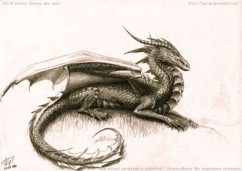 Dragon Laying Down Drawing, Laying Down Drawing, Sepia Color, Dragon Sketch, Dragon Images, Gothic Fairy, Beautiful Dragon, Dragon Jewelry, Dragon Drawing