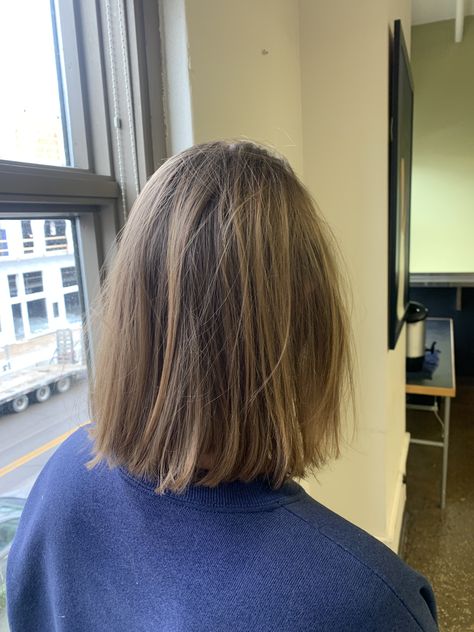 Short Hazel Hair, Dark Blonde Hair Short Bob, Short Dark Blonde Bob, Blond Highlights Bob, Hailey Drew Hair, Bronde Haircolor Short Straight, Bronde Bob Straight, Short Hair Dirty Blonde, Brown Bob