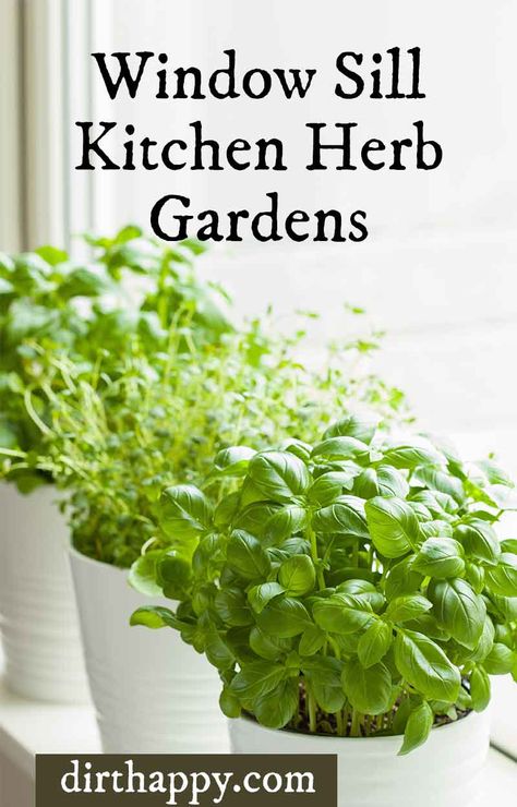 Window Sill Herb Garden, Herbs For Cooking, Growing Herbs In Pots, Windowsill Herb Garden, Vertical Herb Gardens, Window Herb Garden, Grow Basil, Herb Garden Pots, Kitchen Window Sill