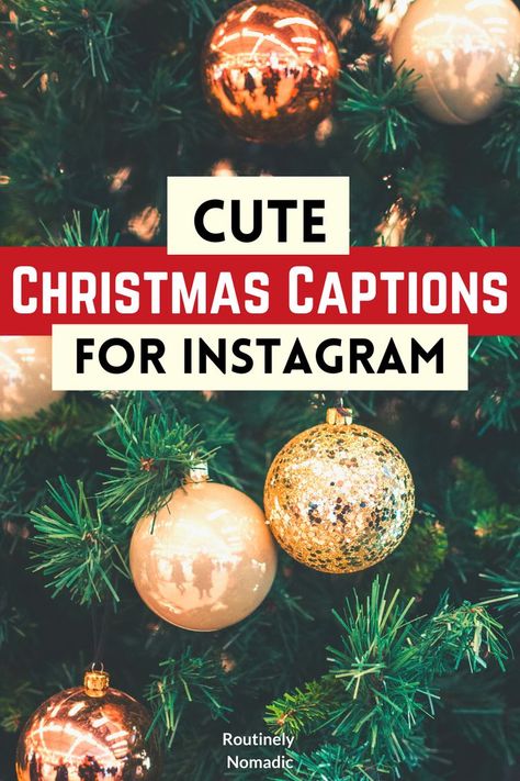 Decorated Christmas tree with the words Cute Christmas Captions for Instagram on top Caption For Christmas Photos, Winter Letterboard Quotes, Winter Letterboard, Christmas Couple Quotes, Family Holiday Quotes, Christmas Captions Instagram, Cute Short Captions, Family Picture Quotes, Quotes For Thanksgiving