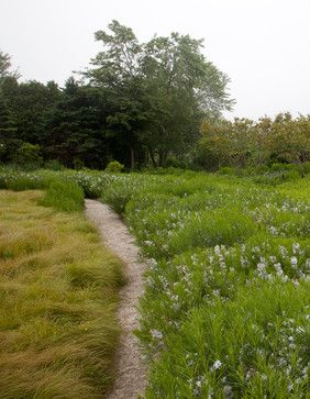 Desire Paths, Wild Gardens, Gravel Parking, Landscape Architecture Drawing, Eco City, Gravel Path, Wild Garden, Gravel Garden, Forest Path