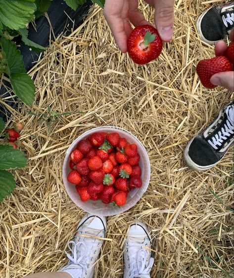 Boyfriend Date Ideas Aesthetic, Strawberry Picking Date, Klaudia Core, Couple Activity Aesthetic, Bug Core, Corinne Michaels, Dates Ideas, Strawberry Aesthetic, Fall Dates