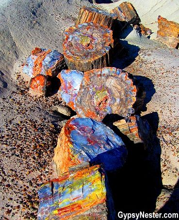 Petrified Forest National Park in Arizona, lived right next to this but never went :( Travel Arizona, Wood Forest, Petrified Forest National Park, Petrified Forest, Celebrating Life, Arizona Travel, Bryce Canyon, Green Sea, Minerals And Gemstones