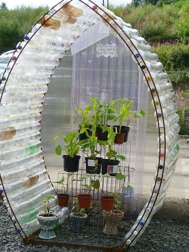 Serre Diy, Reuse Plastic Bottles, Outdoor Greenhouse, Tanaman Pot, Jardim Diy, نباتات منزلية, Build A Greenhouse, How To Recycle, Recycled Garden