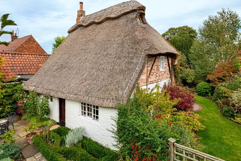 Thatch Cottage, Large Greenhouse, Ceiling Speakers, Thatched Cottage, Log Burner, Engineered Hardwood Flooring, Property Marketing, Vaulted Ceiling, Engineered Hardwood