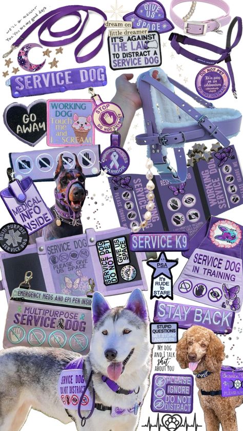 Service dog gear #servicedog#servicedogs#servicedoggear#dog#dogs#doggear#purple#purplegear Service Dog Gear, Psychiatric Service Dog, Service Dog Patches, Service Dogs Gear, Dog Spaces, Service Dog Training, Service Dog Vests, Dog Patch, Assistance Dog