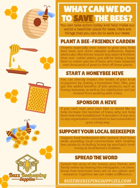 What can we do to save the bees? Pollination Activity, Honey Bee Facts, Honey Bees Keeping, Feeding Bees, Bee Things, Bee Life Cycle, Bug Spray Recipe, Scientific Poster, Bee Activities