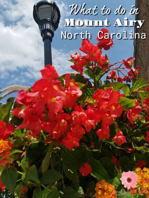 Mount Airy North Carolina, Real Advice, Visit North Carolina, Weekend Family Getaways, Pennsylvania Travel, North Carolina Travel, Mount Airy, Overseas Travel, Household Tips