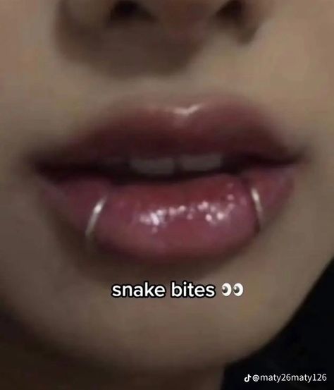 Spider Piercing Lip, Hoop Snake Bites, Angle Bites Piercings, One Snake Bite Piercing, Spider Bites Piercing Aesthetic, Snake Bite Rings, Snakebite Piercing Men, Lip Peircings Middle, Snake Piercing Lip