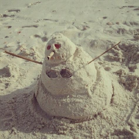 Winter in Florida <3 Christmas In Florida Aesthetic, Florida Winter Aesthetic, Months Aesthetic, Cali Christmas, Christmas In Florida, Winter In Florida, Florida Winter, Florida Aesthetic, Aesthetic 2023