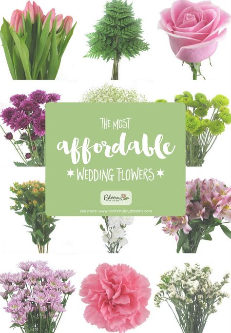 The Most Affordable Types of Wedding Flowers on a Budget via @confettidaydreams Cheap Flower Wedding Ideas, Least Expensive Wedding Flowers, Cheapest Flowers For Centerpieces, Cheap Fall Wedding Flowers, Affordable Flower Centerpieces, Wedding Flower Options, Flowers On A Budget Wedding, Cheap Wedding Flowers Budget, Most Popular Wedding Flowers