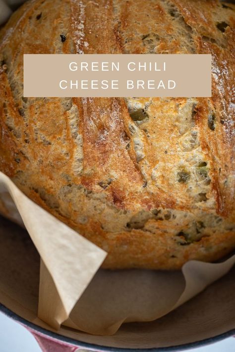 One of my favorite savory combinations in baked goods is green chilis and Monterey jack cheese. They are a match made in heaven and one that this Green Chili Cheese Bread really showcases. Hatch Green Chilies & Cheddar Cheese Bread, Green Chili Cheese Bread Recipe, Green Chile Cheddar Bread, Hatch Green Chili And Cheddar Bread, Green Chili Cheddar Bread, Green Chile Cheese Bread, Green Chile Bread, Pepper Cheese Bread, Green Chili Cheese Squares