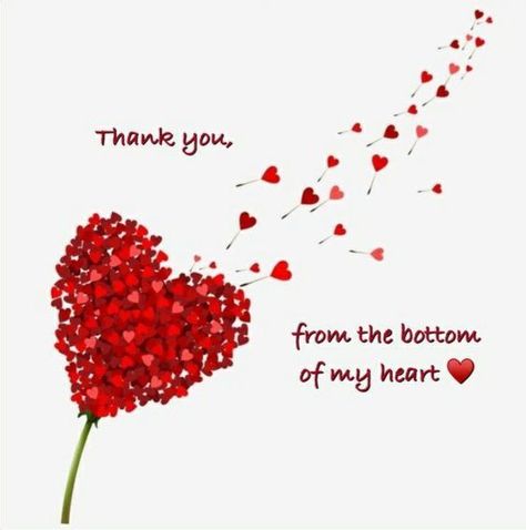 Thank You From The Bottom Of My Heart Love Quotes Thank You Quotes For Friends, Heart Love Quotes, Thank You Quotes Gratitude, Thank You Messages Gratitude, Thank You For Birthday Wishes, Thank You Sister, Happy Birthday Niece, Thank You Pictures, Thank You Wishes