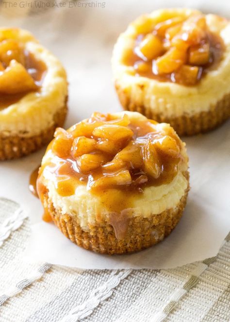 Caramel Apple Mini, Caramel Apple Cheesecake Recipes, Apple Cheesecake Recipes, Sweet Business, Apple Crisp Cheesecake, Apple Cheesecake Bars, Mousse Au Chocolat Torte, Mini Caramel Apples, Fall Apple Recipes