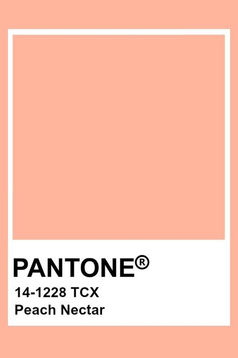 Peach Color Swatch, Peach Pantone, Pantone Tcx, Pantone Color Chart, Pantone Swatches, Peach Nectar, Pantone Palette, Pantone Colour Palettes, Peach Colour