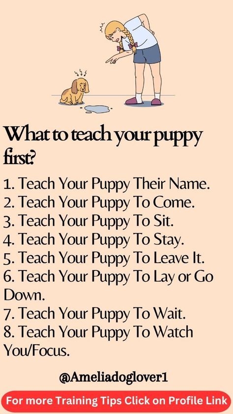 Pet Training Puppies, Working Dog Breeds, Animal Rescue Fundraising, Dog Boutique Ideas, Puppy Schedule, Training Puppies, Behavior Tips, Puppy Development, Puppy Training Schedule