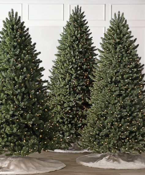 Finding your dream Christmas tree is only a quiz away. Let the Christmas tree experts at Balsam Hill help you get it right. Christmas Tree Prelit, Group Of Christmas Trees, Christmas Tree Lights Only, Lux Christmas, Christmas Tree For Sale, Balsam Hill Trees, Metal Christmas Tree Stand, Balsam Tree, Balsam Hill Christmas Tree