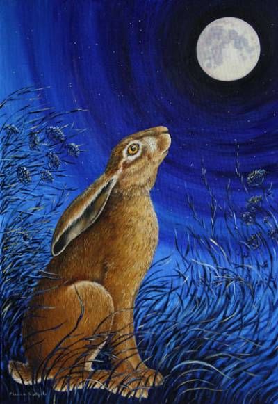 hare across moon - Google Search Moon Gazing Hare, Hare Print, Moon Gazing, Lapin Art, Moon Gazing Hares, Spring Equinox, Rabbit Art, Bunny Art, Wow Art