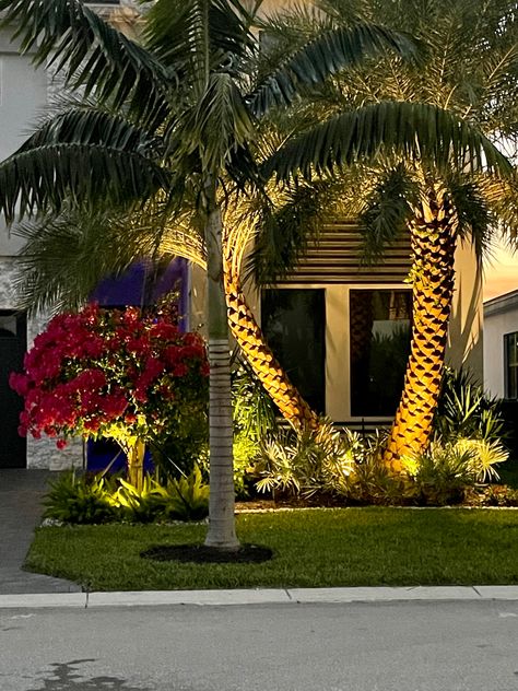 Palm Landscaping, Palm Tree Lights, Coastal Exterior, Palm Trees Landscaping, Entry Design, Landscape Design Plans, Outdoor Gardens Design, Design Your Dream House, Bougainvillea