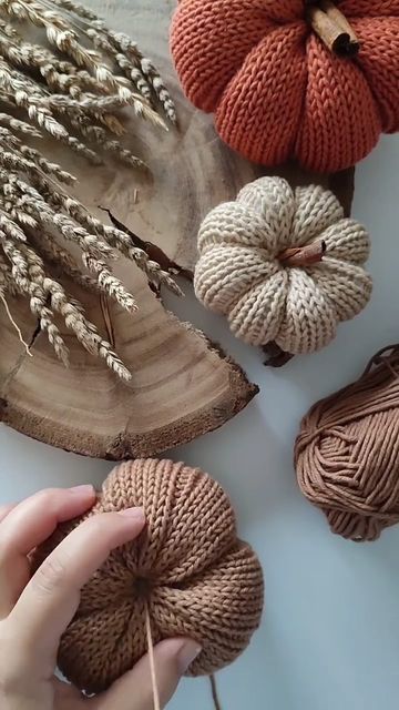 Knitted Pumpkins, Hantverk Diy, Fall Decor Diy Crafts, نباتات منزلية, Beautiful Pumpkins, Fall Halloween Crafts, Crochet Pumpkin, Autumn Crafts, Diy Pumpkin