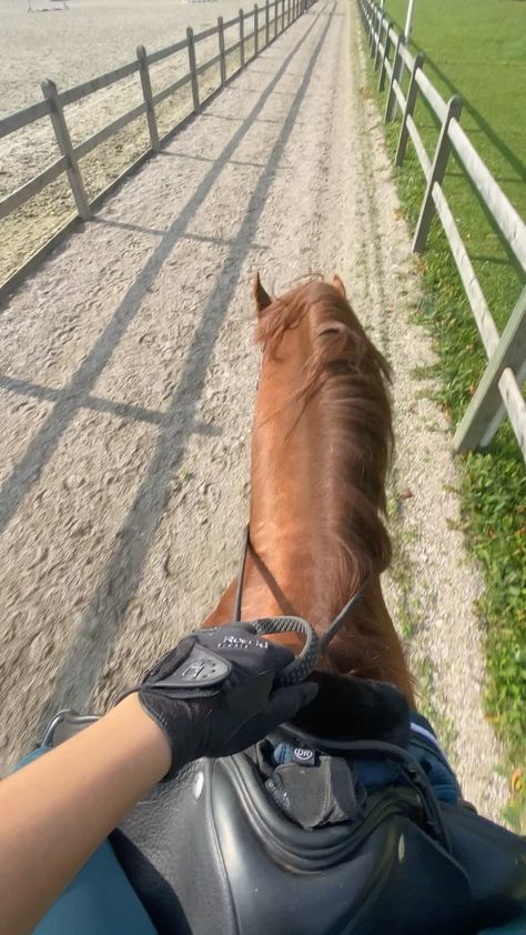 Horse Riding Aesthetic, Horsey Life, Pictures With Horses, Equestrian Aesthetic, Cute Horse Pictures, Caught Cheating, Horse Camp, Farm Lifestyle, Horse Videos