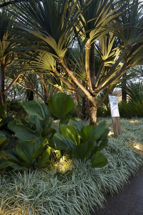 Tropical Hardscape, Tropical Garden Lighting, Modern Landscape Lighting Design, Design A Garden, Dream Garden Backyards, Front Lawn Landscaping, River Rock Garden, Tropical Landscape Design, Small Garden Ideas