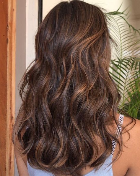 Dark Honey Highlights On Dark Hair, Medium Brown With Auburn Highlights, Brown Hair Colors Dark Roots, Sun Kissed Brown Hair Short, Brunette With Sun Kissed Highlights, Brunette Warm Highlights, Brown Partial Highlights, Sun Kissed Dark Brown Hair, Bronze Highlights On Brown Hair