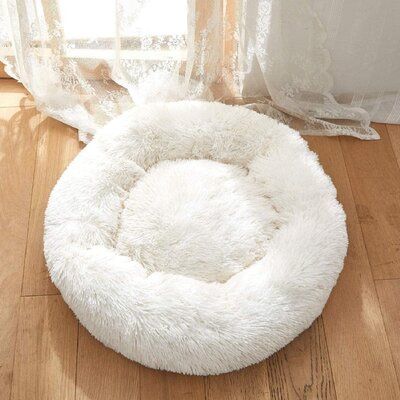 Fluffy Dog Bed Aesthetic, Cute Puppy Beds, Squishmallow Dog Bed, Cute Dog Beds For Small Dogs, Cute Pet Bed, Puppy Bed Ideas, Aesthetic Dog Bed, Cute Cat Beds, Dog Bed Cute