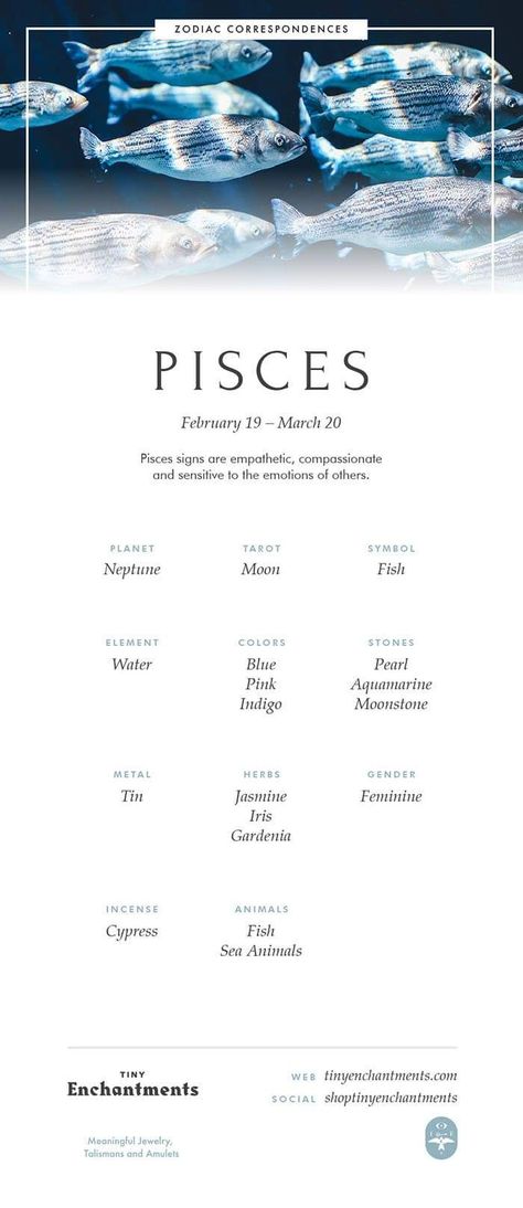 Zodia Pești, Pisces Signs, Pisces Symbol, Pisces Personality, Pisces Traits, Pisces Zodiac Sign, Pisces Girl, Pisces Quotes, Pisces Love