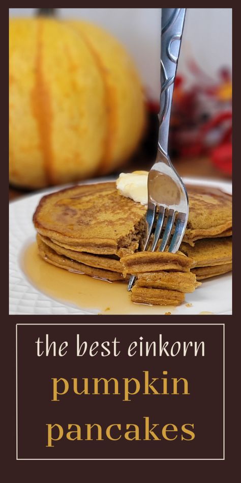 three einkorn pumpkin pancakes stacked with butter and syrup on top. a fork is picking up a bite pumpkin and leaves in the background. text in image says the best einkorn pumpkin pancakes Einkorn Pumpkin Pancakes, Einkorn Pumpkin Recipes, Einkorn Pumpkin Bread, Einkorn Pancakes, Nom Nums, Einkorn Sourdough, Pumpkin Coffee Cake, Einkorn Recipes, Pumpkin Pancake Recipe