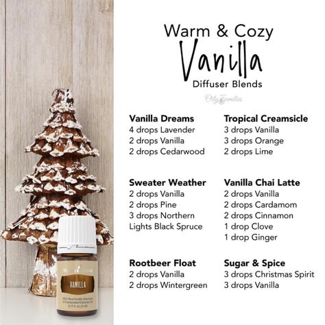 Vanilla oleoresin has a rich, warm, comforting aroma with sweet top notes. It blends well with most essential oils including mints, citrus, spicy, and woodsy oils. Try these warm and cozy vanilla diffuser recipes this holiday season! Diy Vanilla Essential Oil, Diy Vanilla, Vanilla Planifolia, Essential Oil Combinations, Essential Oil Diffuser Blends Recipes, Young Living Essential Oils Recipes, Essential Oils Guide, Essential Oil Diffuser Recipes, Oil Diffuser Recipes